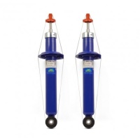 Амортизаторы 1119 задней подвески газонаполненные ДЕМФИ (СЕРИЯ КОМФОРТ) (2шт)