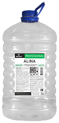 Мыло жидкое PRO-BRITE Alina 5л Персик